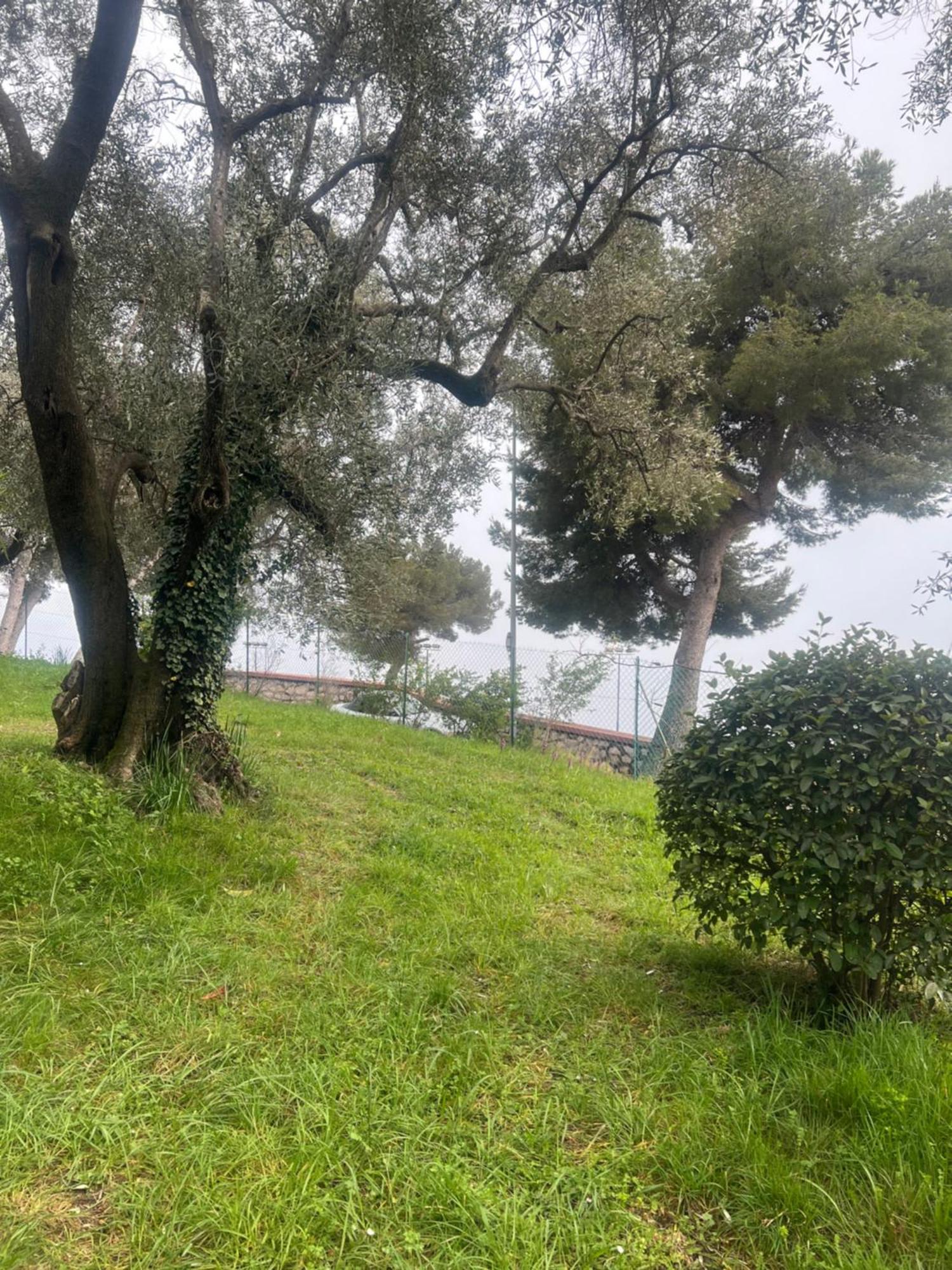 Bas De Villa Vue Mer Eze Village Èze Exterior foto